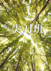 精品综合